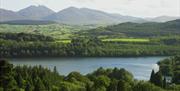 View of Castlewellan Forest Park