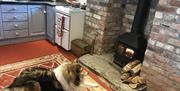 An image of the kitchen with wood burning stove and the owners dog lying in front of the fire.