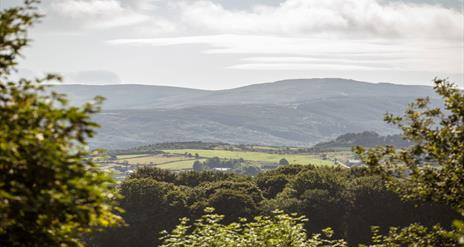 Mountain Views from Slieve Gullion Forest Park