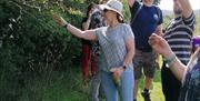 Foraging group gathering berries