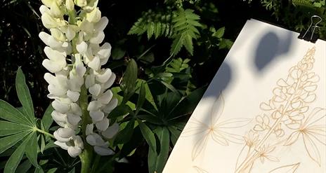 Flower and sketch book