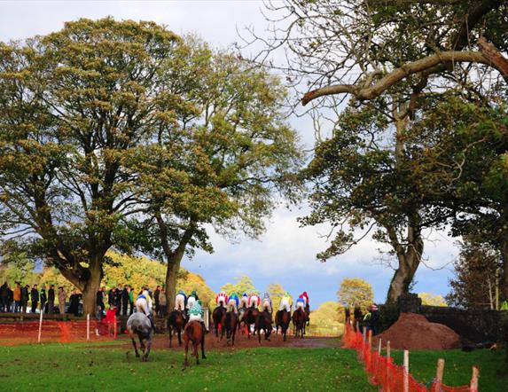 Ireland Point To Point Races Events | Whats On | Discover Northern Ireland