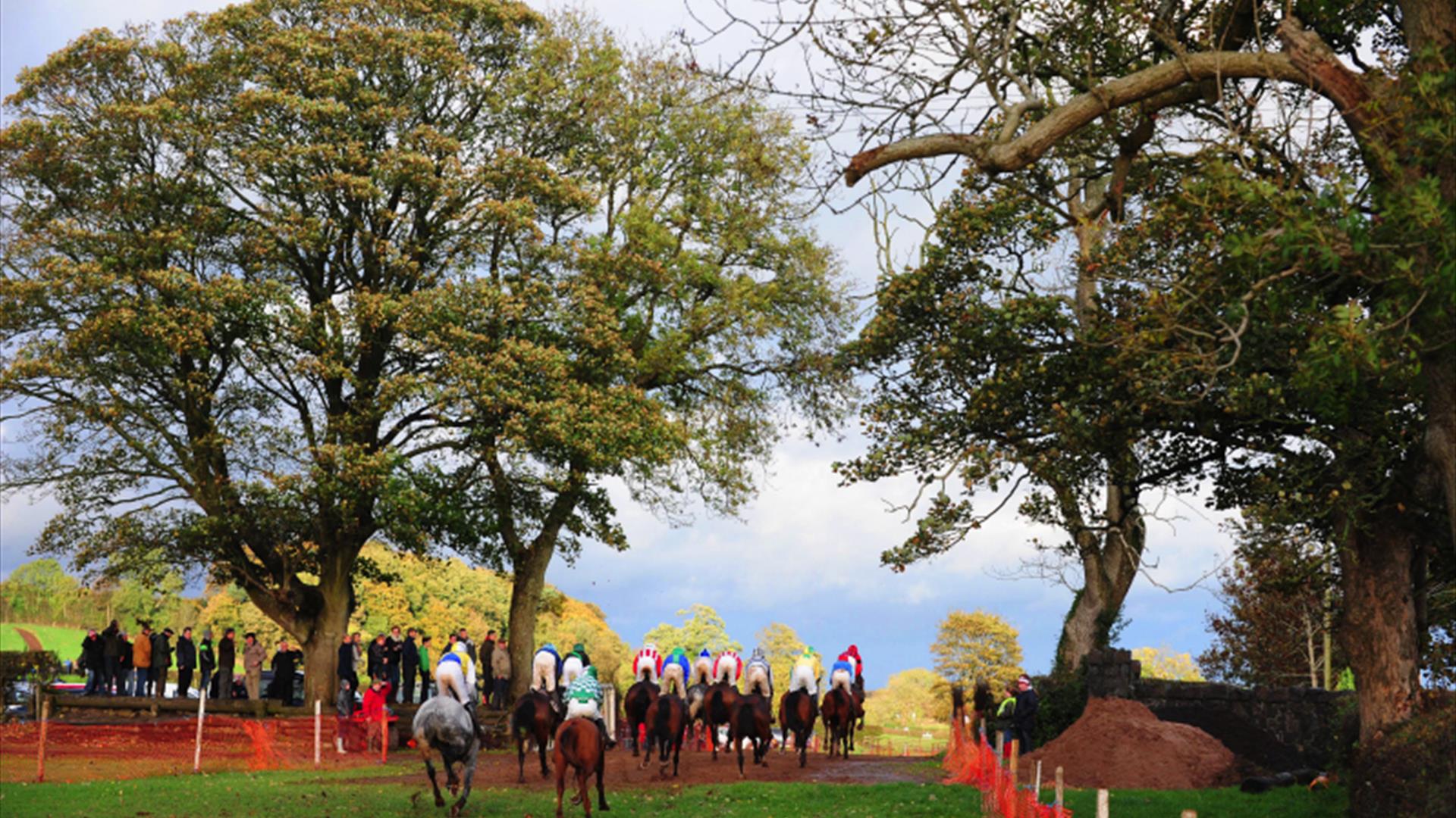Loughanmore Point-to-Point Races