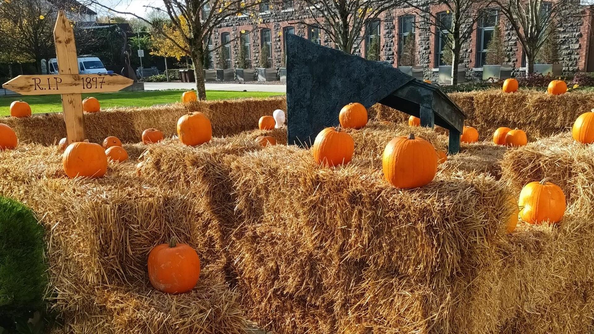 Mossley Mill Pumpkin Patch Mossley Mill Pumpkin Patch