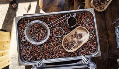 A tray full of cocao beans on display at NearyNogs