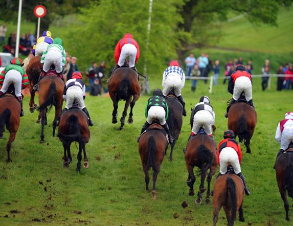 Necarne Point-to-Point Races