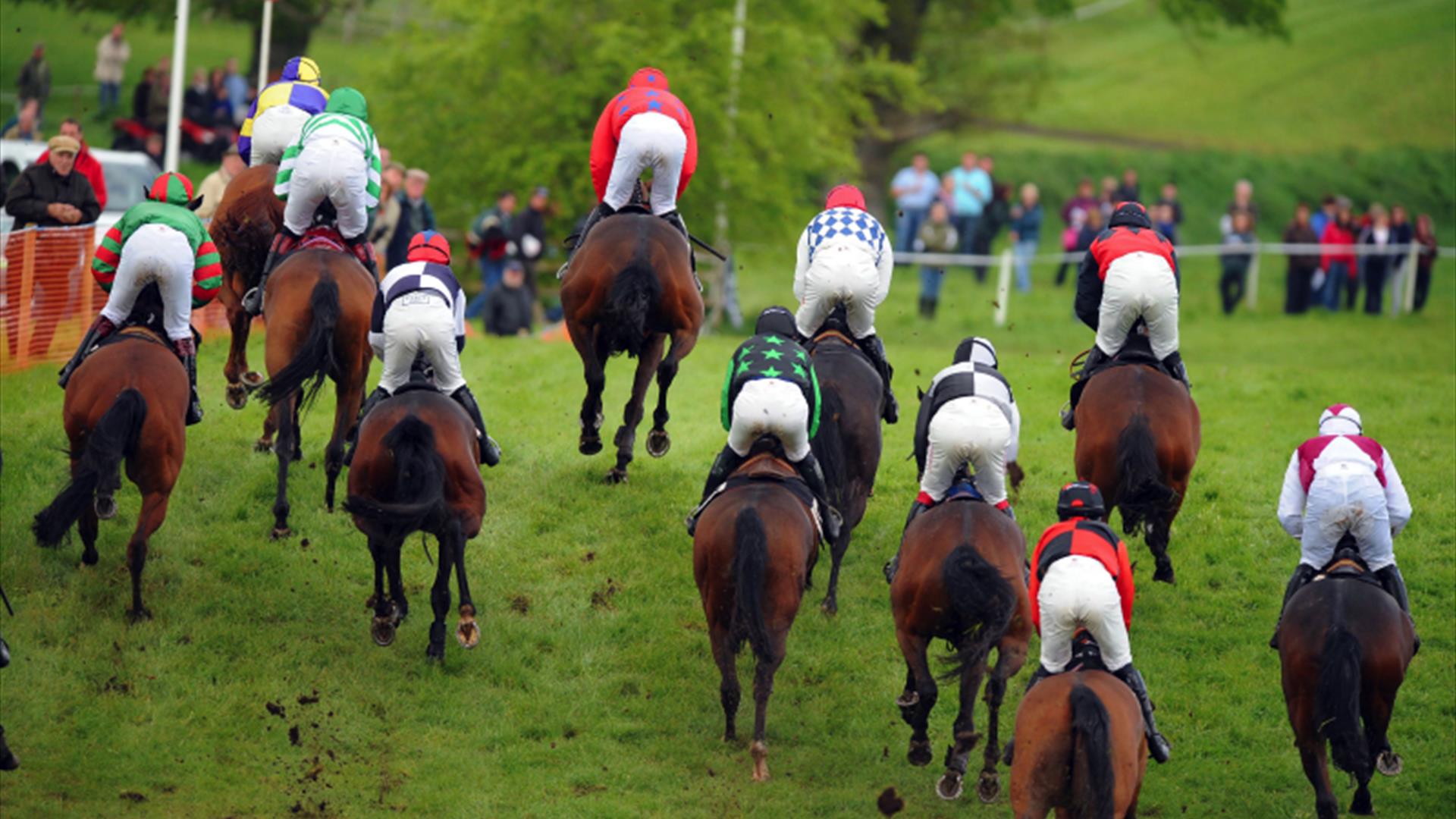 Necarne Point-to-Point Races