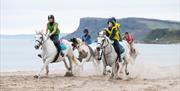Horse racing on the beach with Fairhead in the background