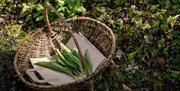 A basket with foraged items and paper bags as part of the experience A Taste of Castle Ward