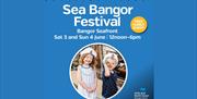 Sea Bangor Festival promotional poster