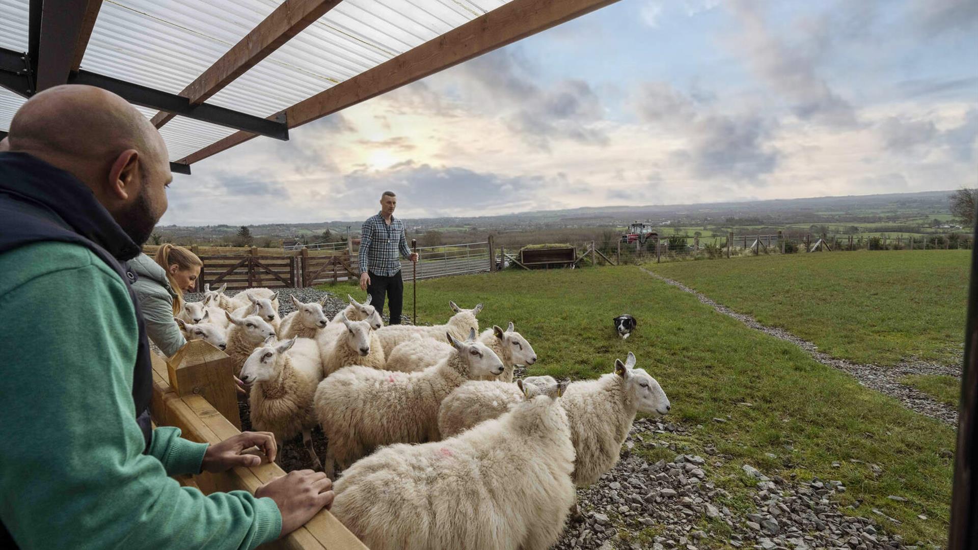 Group watches over Jamese as he talks through the principles of herding sheep