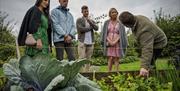 A group taking part in the Slemish Supper Club experience tour the market garden and learn about the local produce