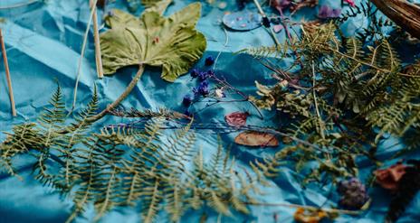 foraged leaves and other materials on a blue table