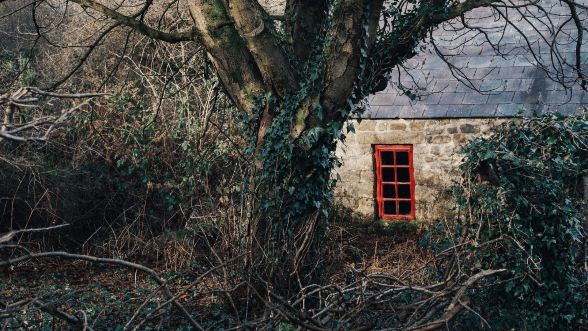 A stone cottage with a red framed block window behind trees and shrubbery