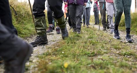 Images shows the lower half of a group of walkers wearing hiking  boots and carrying poles