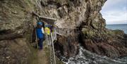 Group walks along the rocky cliff path of The Gobbins