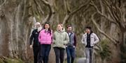 Group walks through Dark Hedges with tour guide Flip