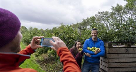 Friends take photos with apples picked from the orchards of the Armagh Apple Farm