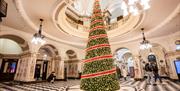 Christmas has arrived at Belfast city hall