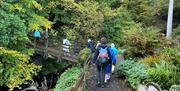 people walk through a forest trail at Glenariff Forest Park