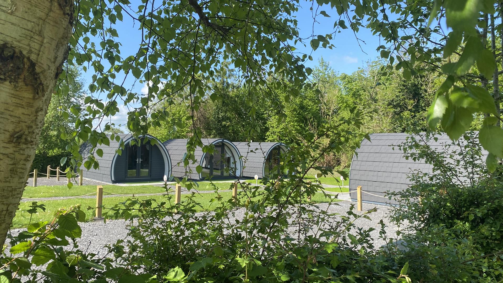 Glamping at Share Discovery Village
