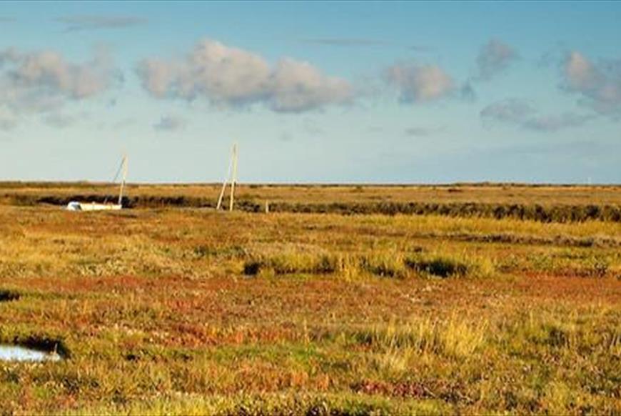 Nature & Wildlife - North Norfolk