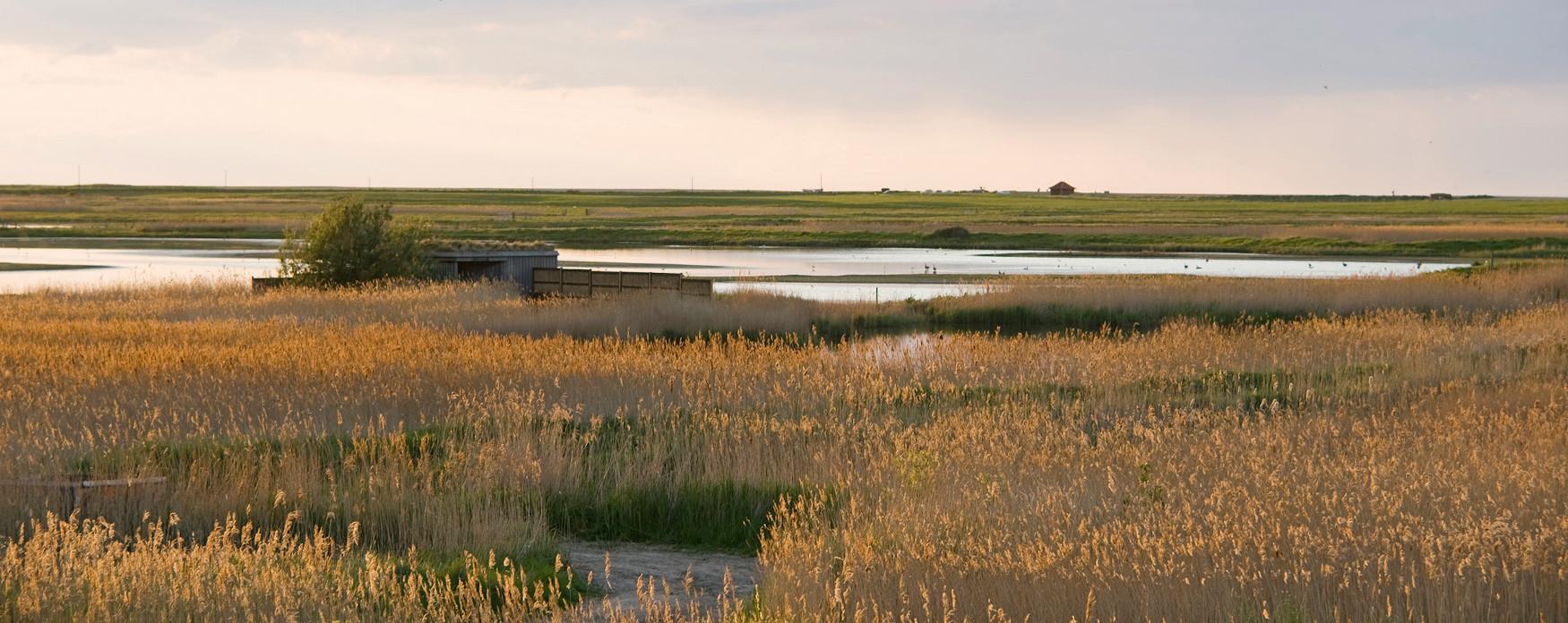 Cley Nature Reserve