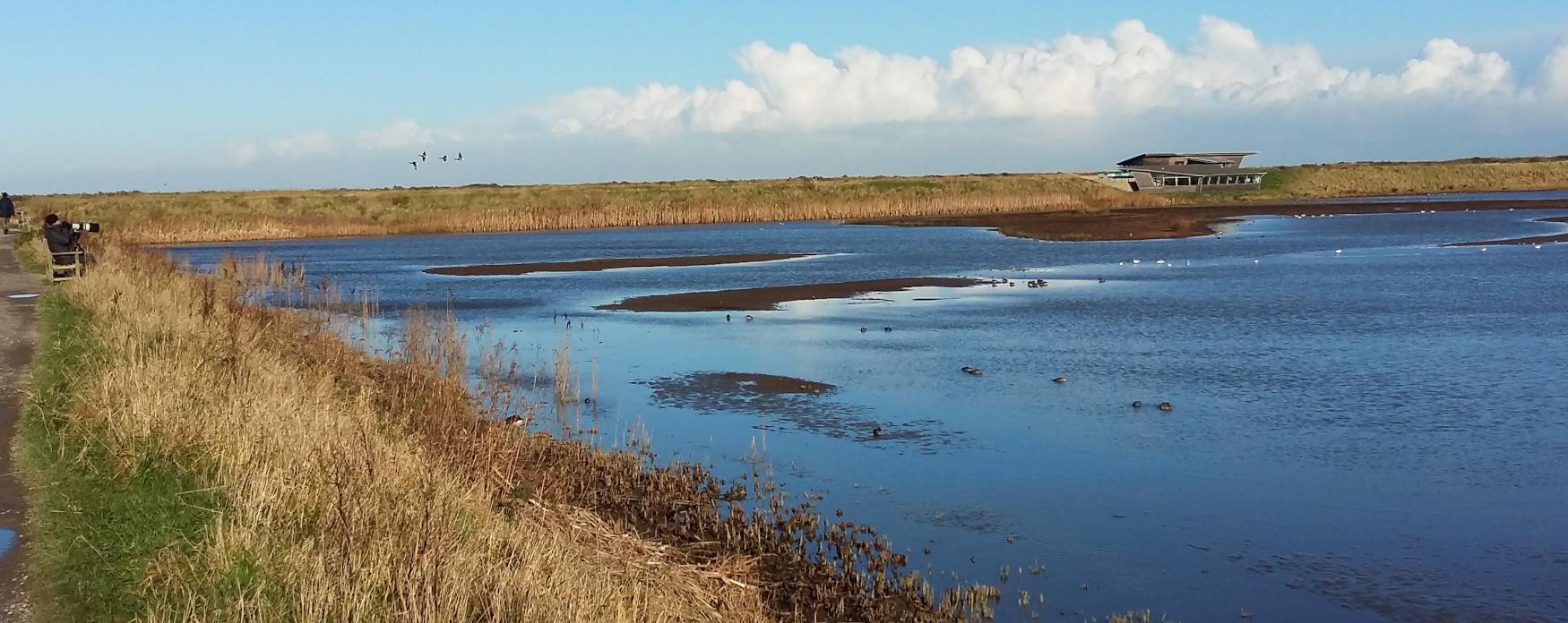 RSPB Titchwell