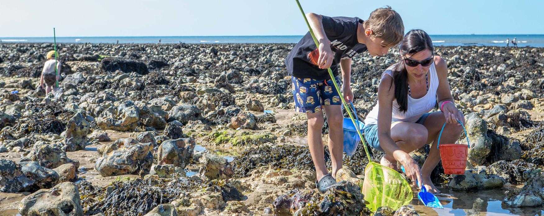 Rock Pool Rummaging