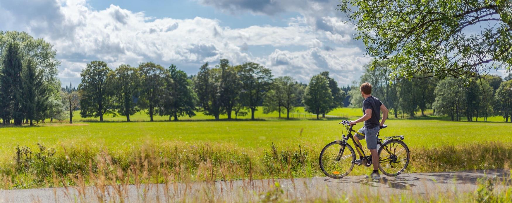 Ebikes