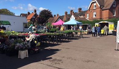 Cromer Market Days