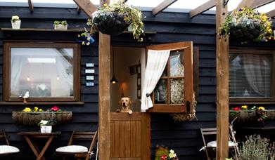 Norfolk Accommodation - MyMiniBreak