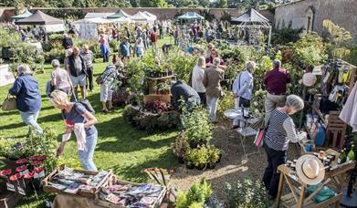 People browse the items for sale in Holkham's Walled Garden at the Garden and Outdoor Living Fair