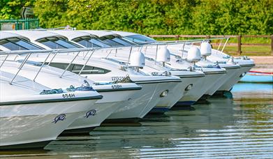 Richardson's Cruisers at Stalham Marina