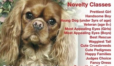 The Hunstanton Fun Dog Show
