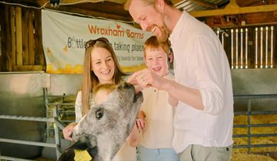 Family playing with calf at Wroxham Barns