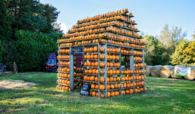 The Pumpkin House