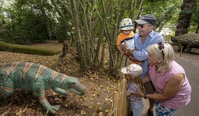 Celebrate Grandparents day with a family day our in Norwich, Norfolk