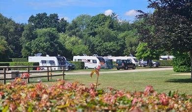 Caravan pitches at Deer's Glade