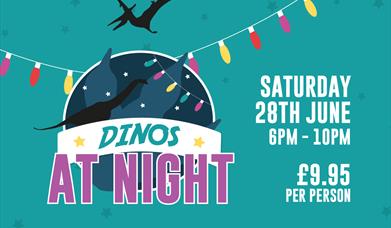 Dinos at Night