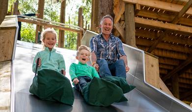 Dad and two children going down slide