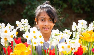 A young girl with dark hair smiles surrounded by red and yellow tulips.