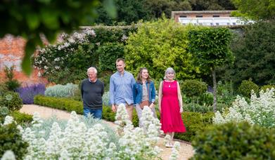 Two men and two woman walk around Holkham's Walled Garden, surrounded by white flowers.