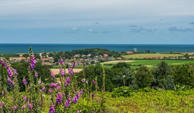 Kelling Heath View