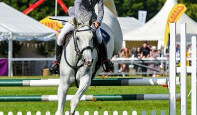 Royal Norfolk Show