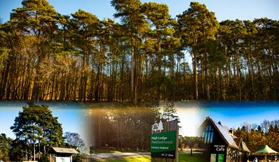 Go Wild Camping Thetford - mYminiBreak