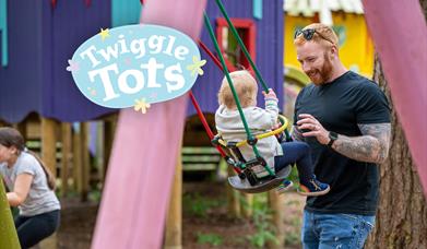 Twiggle Tots Adult and Toddler Swing