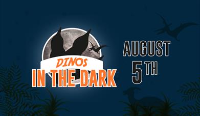 Dinos in the Dark