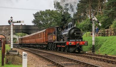 Poppy Line's 112 year old engine hauls a train of 100 year old carriages!