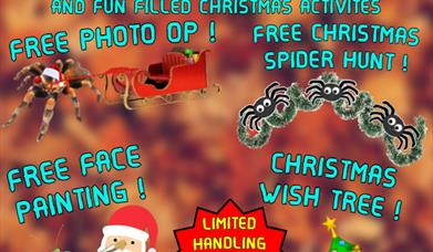 Christmas at The Bug Parc